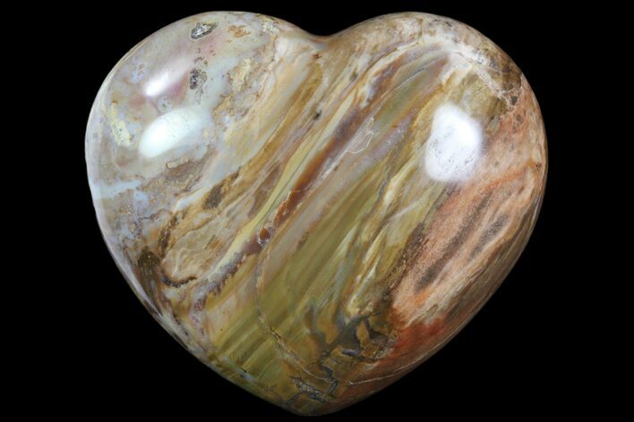 Colorful, Polished Petrified Wood Heart - Triassic #82745
